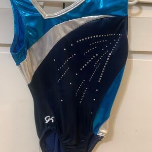Blue and Silver Gymnastics Leotard